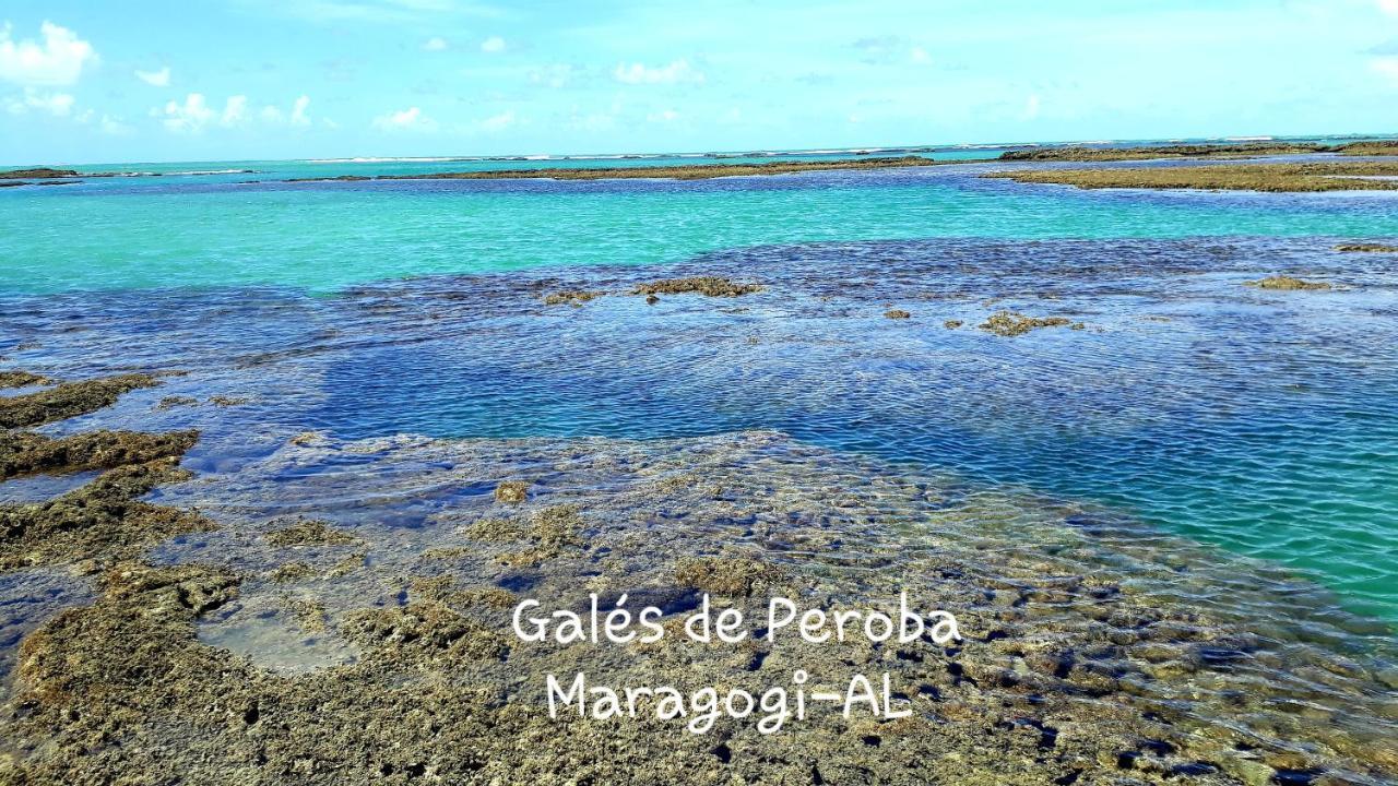 Parque Dos Coqueiros- Bangalos E Suites 마라고지 외부 사진